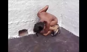 нове чорне дерево ам ...