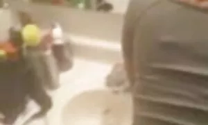 індійський дезі вигл ...