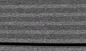 чорне дерево підліто ...